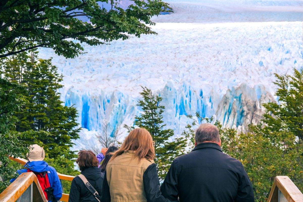 vista al glaciar y bosque
