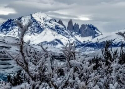 Torres del paine7