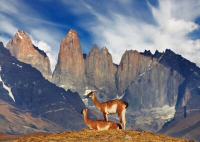 Torres del paine 6